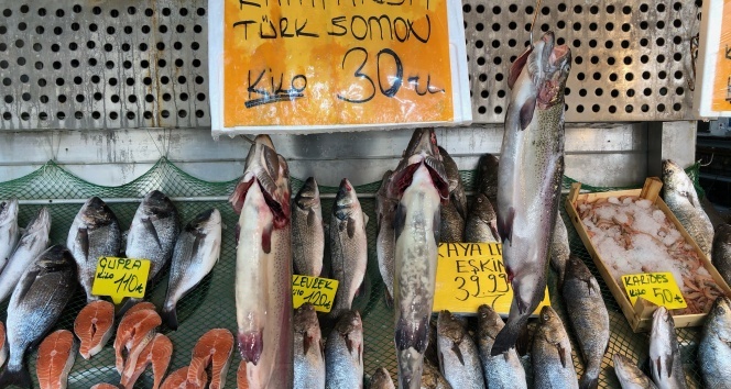 Norveç somonuna rakip Türk somonun kilosu 30 lira