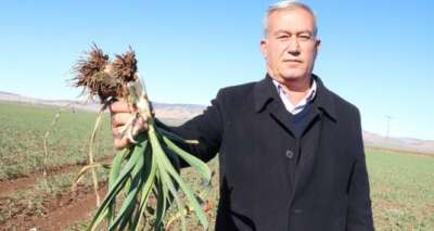 Pandeminin ilacından sevindiren haber