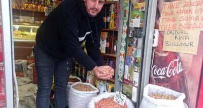 Siirt’te fıstık fiyatı yüzde 50 düştü