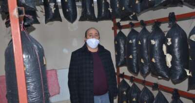 Şırnak'ta mantar üretim tesisi açıldı