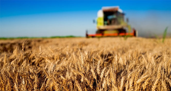 Tarım-GFE aylık yüzde 3,23 arttı