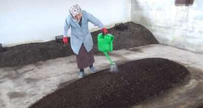 2 üniversite mezunu kadın, organik solucan gübresi üretiyor