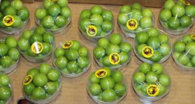 Erik, çeyrek altını solladı