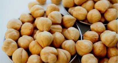 Fındık ihracatında 5 ayda 958 milyon dolar gelir