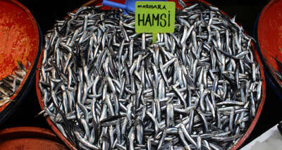 Fırtına ve soğuk hava balığı vurdu