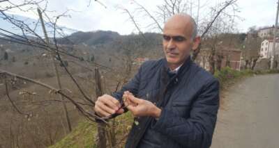 Hava sıcaklıkları fındığı olumsuz etkiledi