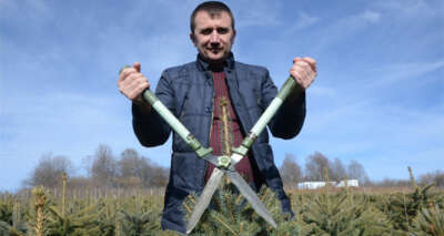 Hobi olarak ektiği fidanların toplam değeri 1,5 milyon TL