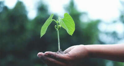 Siemens Energy ve BASF düşük karbon salınımlı üretim için güç birliği yapıyor