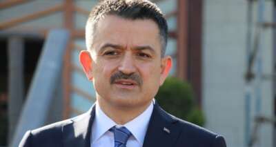 Tarım ve Orman Bakan Pakdemirli: 'Demokratik söylemlerin adresi sokaklar değil, siyasi partilerdir'