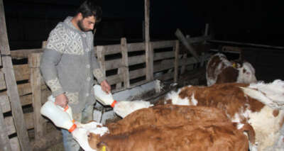 Üniversiteyi bitirip çiftçilik yaparak kendi işinin patronu oldu