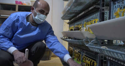 Babasının tedavisi için gittiği doktorun tavsiyesi hayatını değiştirdi: Yurdun dört bir yanına bıldırcın pazarlıyor