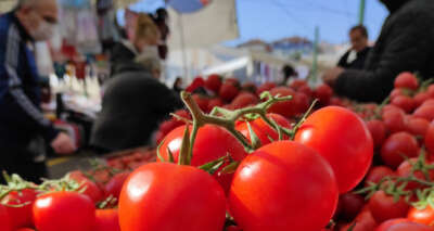 'Havaların ısınmasıyla meyve ve sebze fiyatları düşecek'