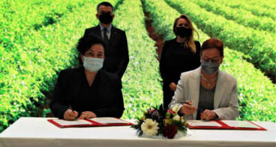 Kız Kardeşim Projesi 2021’de kadınları girişimciliğe hazırlayacak