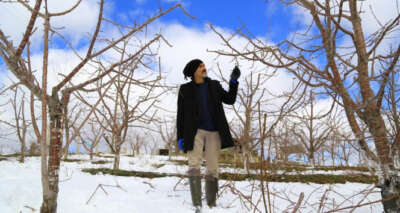 Kuraklık endişesi yaşayan kiraz üreticilerinin yüzü son yağışlarla güldü