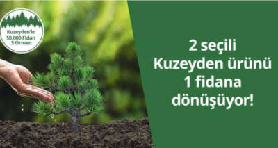 Kuzeyden 50 bin fidan ile 5 orman oluşturuyor