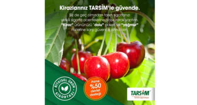 TARSİM: 'Kiraz ürününüz dolu paketi kapsamında güvende'