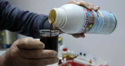 Tavuk atıkları tarımda gübreye dönüştü