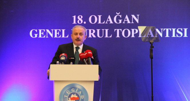 TBMM Başkanı Mustafa Şentop: ''Salgında Türkiye dünyadaki müstesna birkaç ülkeden biri oldu''