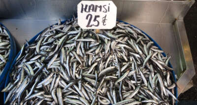 Yıllar sonra ilk kez bu sezon yaşandı