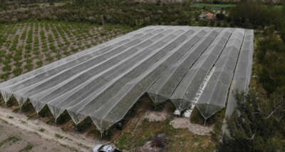 Doluyu 4 dönümlük fileyle durdurdu