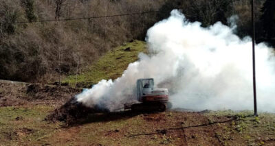 Fındık bahçelerine zarar veren Drakula ile mücadele sürüyor