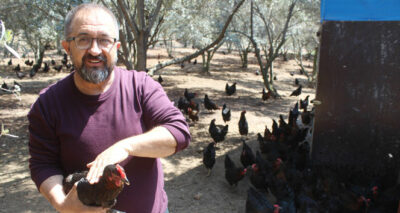 Hobi olarak başladı, şimdi günde 600 yumurta üretiyor