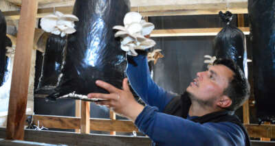 Hobi olarak başladı, şimdi taleplere yetişemiyor