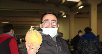 Sezonun ilk kavunu tezgahlara yüksek fiyatla girdi tanesi 20 TL