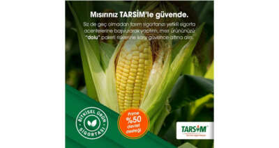 TARSİM: “Mısır ürününüz güvende”