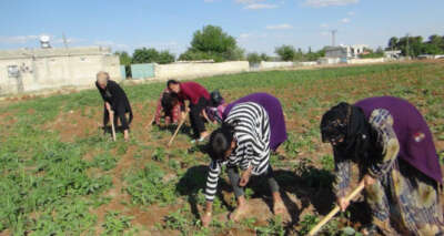 40 derece sıcakta zorlu mesai