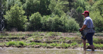 Çiftçilerin meşakkatli 'çeltik' ekimi başladı