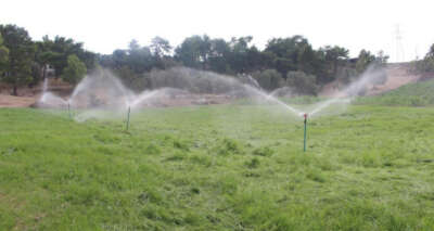 Çiftçiye 2020’de 13 milyon 810 TL destek