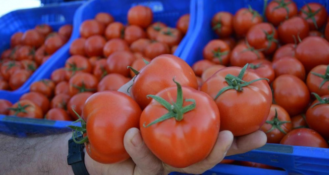 Fiyatı en fazla artan ürün domates oldu