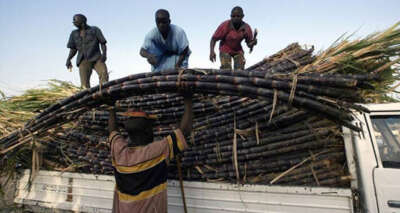 Küresel gıda fiyatları 8 yılın zirvesinde