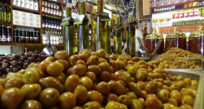 Online satışta zeytinyağı büyük ilgi görüyor