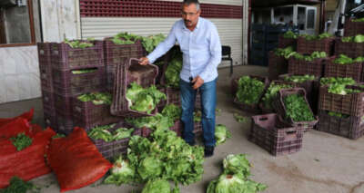 Tonlarca sebze meyve hal esnafının elinde kaldı