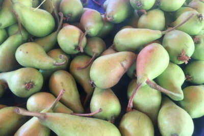 Armut fiyatları cep yakıyor