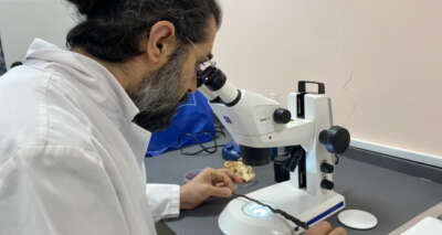 Avrupa’nın gözdesi ‘kara elmas’, Türkiye’de bu yöntemle üretilecek