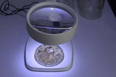 Bu çalışma müsilajı fırsata çevirebilir