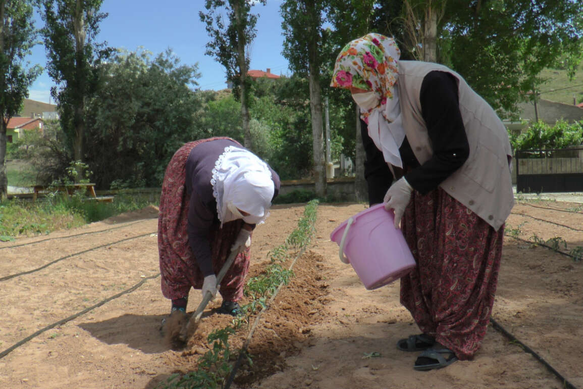 Çiftçi kadınlar yeni projeleri ile pandemide de üretmeye devam ediyor