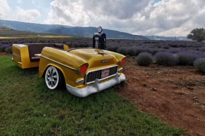 Dinar'dan geçerken bu tarlalara muhakkak uğrayacaksınız