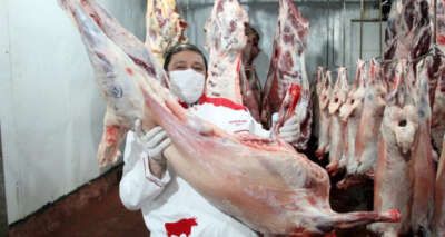 Kurban Bayramı öncesi AVM ve zincir market uyarısı: “O kurbanlar kurban değildir”