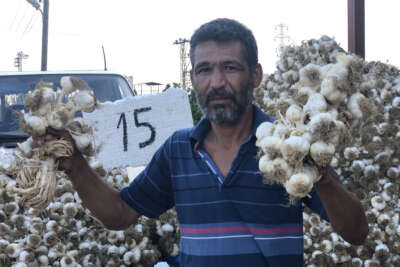 Sarımsakta üretim arttı fiyat düştü