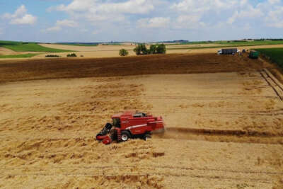 Doğuda kuraklık, Trakya’da görülmemiş bolluk