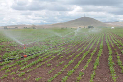 İhalesi yapıldı, 17 bin 670 dekar alanı suyla buluşturacak