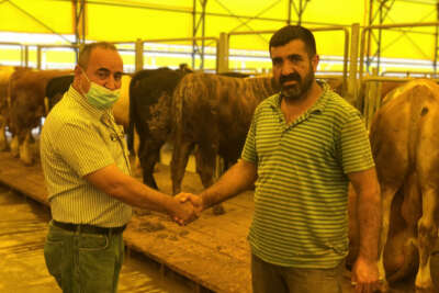 Kurban pazarlarında satışlar başladı