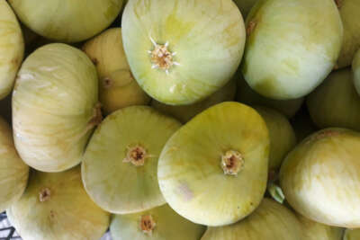 Mersin’de incirin kilosu 20 liradan alıcı buldu