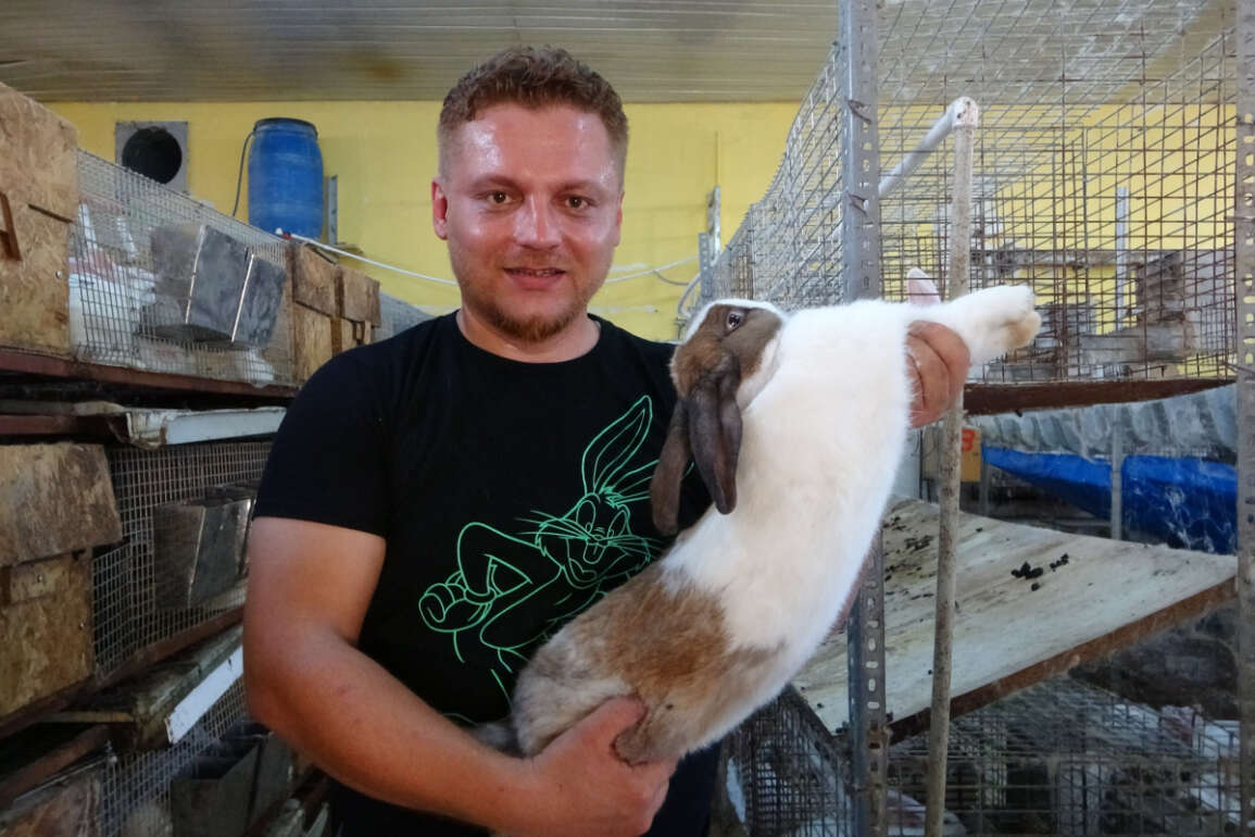 Öğretmenliği bıraktı tavşan çiftliği kurdu