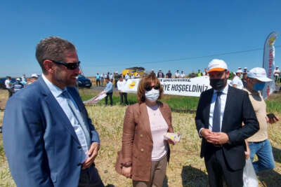 TARSİM, Tekirdağ ilinde kanola ve buğday hasadına katıldı