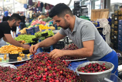 Yağmur yağsa da pazar tezgahları boş kalmadı